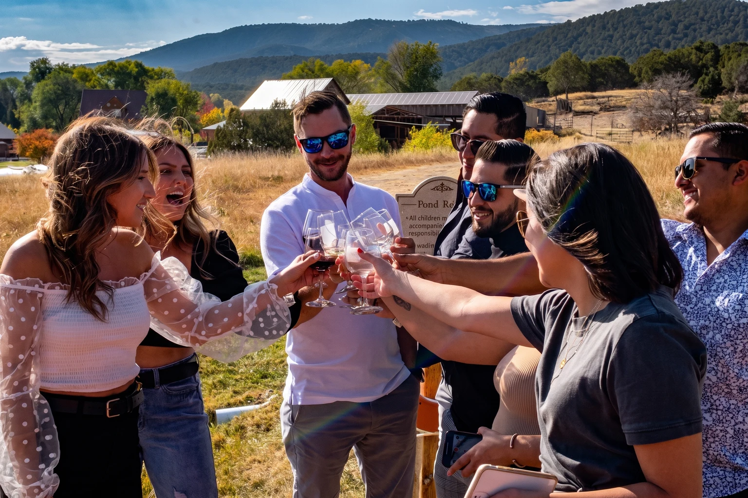 A smiling group raises wine glasses together outdoors with hills in the background