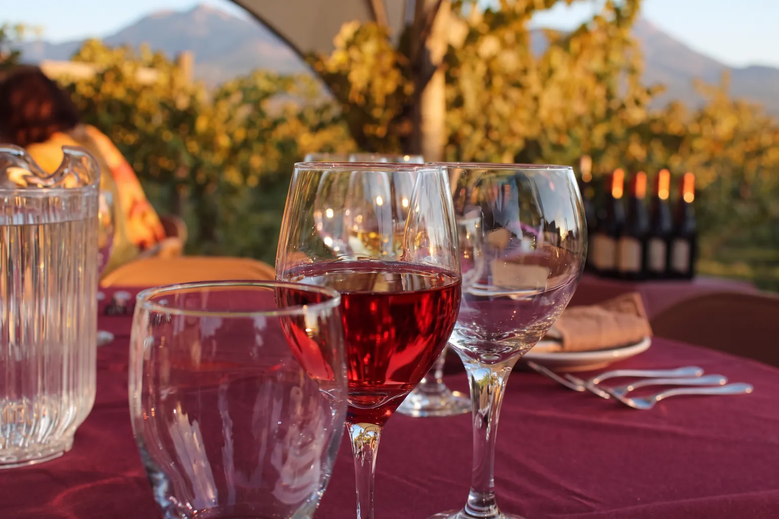 A glass of red wine on an outdoor table in warm autumn light