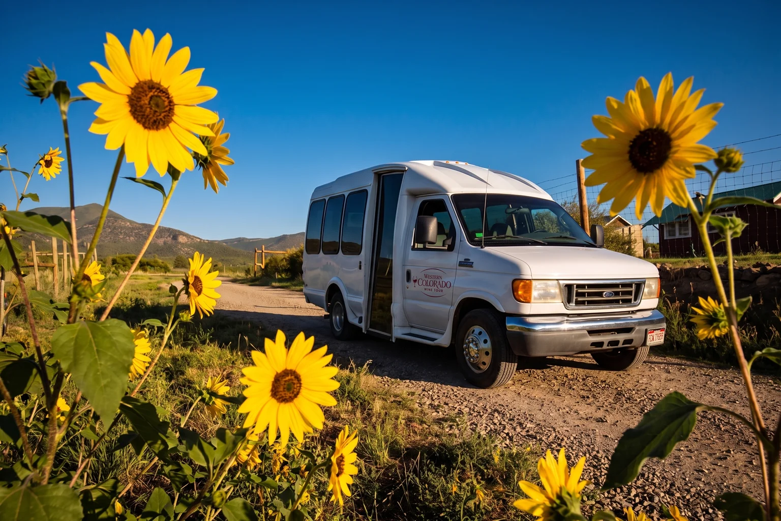 The Western Colorado Wine Tour shuttle framed by yellow sunflowers on a rural road
