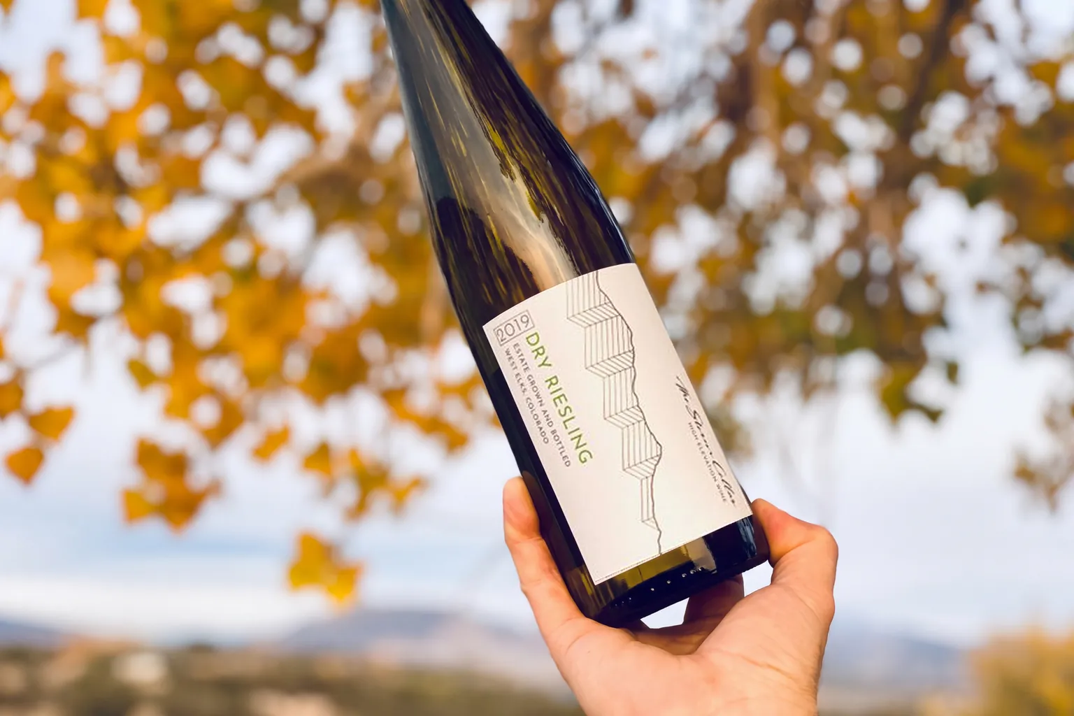 A hand holding a bottle of The Storm Cellar 2019 Dry Riesling beneath golden autumn leaves
