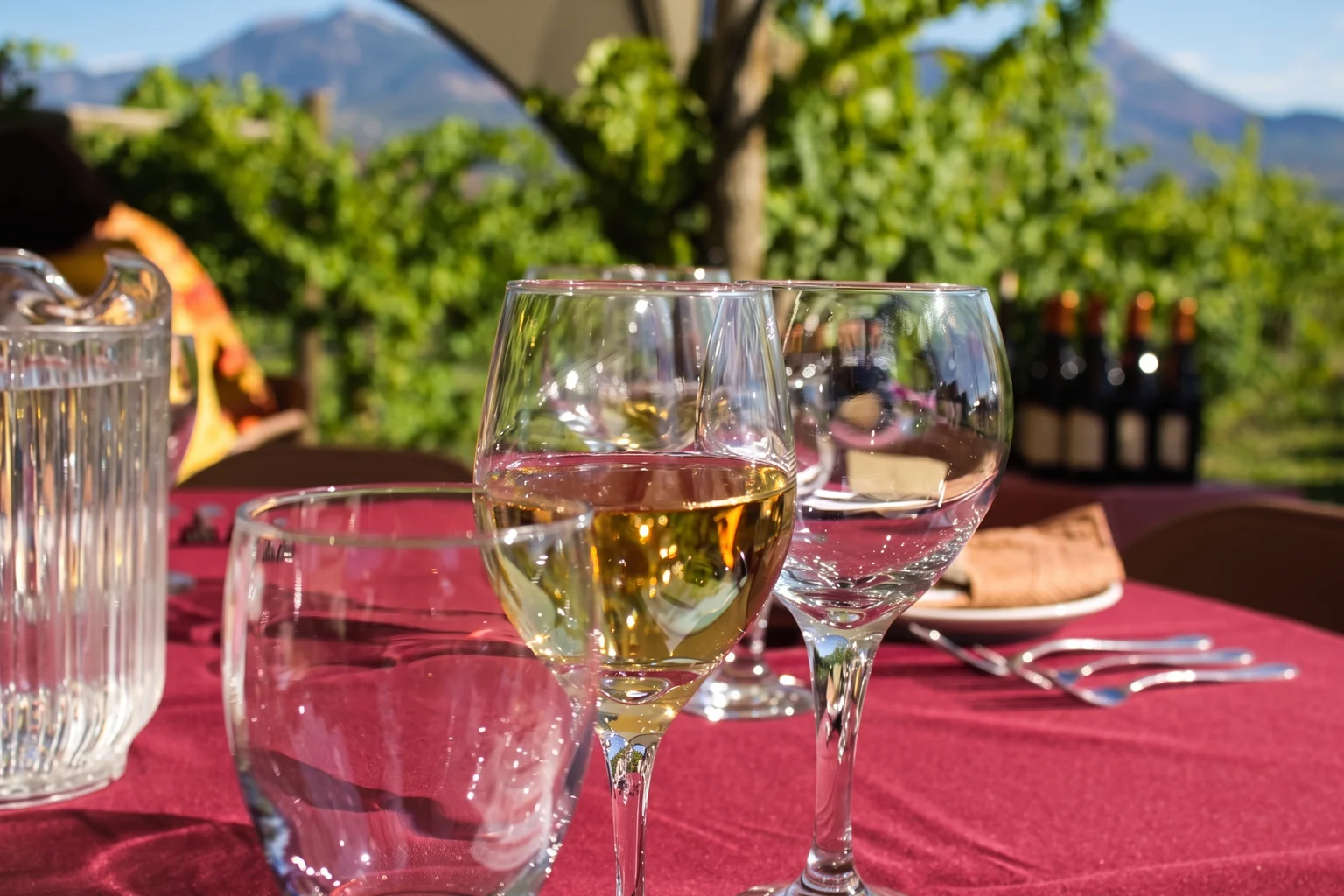 Wine glasses on a sunlit outdoor tasting table with vineyard vines and mountains beyond